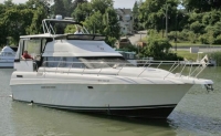 Silverton 41
